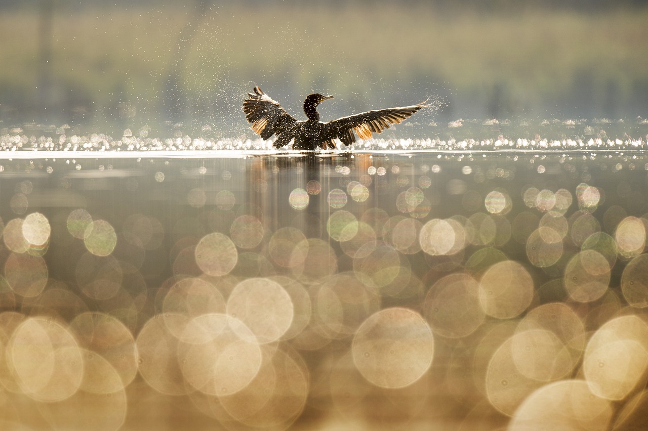 Best Techniques for Capturing Movement in Travel Photography